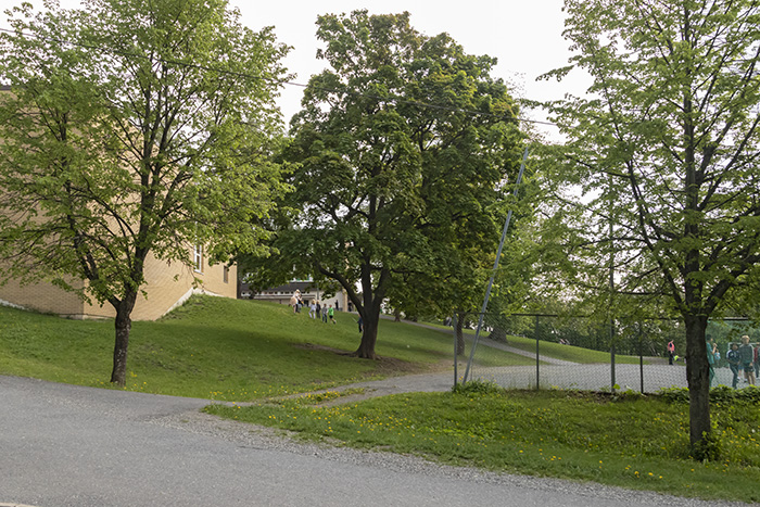 Eikeli Eikeli husmannsplass