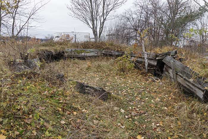 Bunkers 1435164320